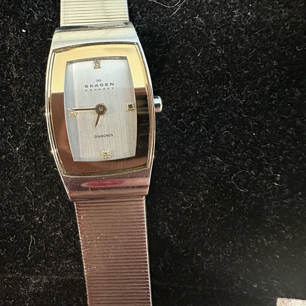 Skagen Silver Tone Watch with Diamond Details